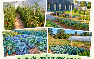 Potager partager de la MMAC